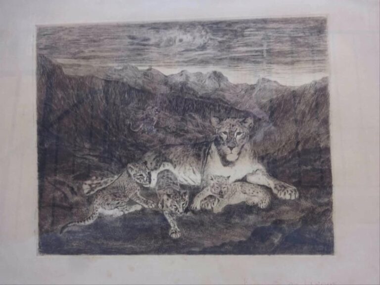 D'après Elisabeth DE GROUX Léoparde et ses léopardeaux Eau-forte sur papier Probablement contresignée par l'artiste en bas à droite 31 x 40 cm