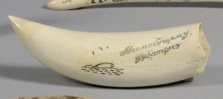 DENT DE CACHALOT gravée au trait d'une baleine et inscription en Russ