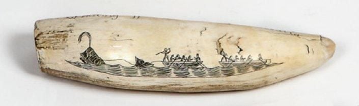 DENT DE CACHALOT gravée d'une scène de chasse à la baleine et nommée «Whaling off the coast of Australia
