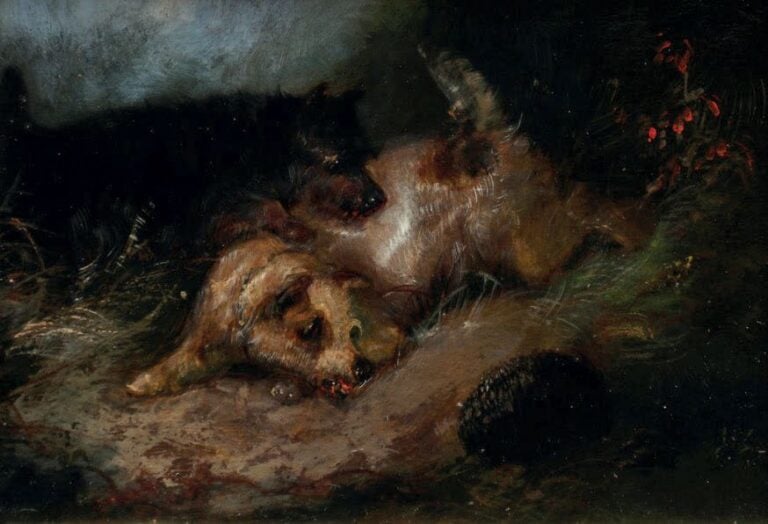 DEUX PETITS CHIENS ET HÉRISSON