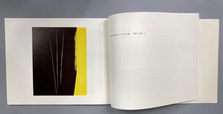 Documentation - - HANS HARTUNG - Musée Picasso - Antibes - (en l'état) - - PAS…