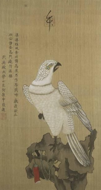 ENCRE ET GOUACHE SUR SOIE DEPEIGNANT UN FAUCON BLANC PERCHE SUR UN ROCHER Chine, Probable travail du XXe siècle évoquant des peintures de l'époque Qing Le volatile dressé - comme semble le démontrer le fil qui le retient, par sa patte gauche, au rocher sur lequel il est perché - debout sur sa patte gauche, la patte droite relevée, le corps de face, la tête de profil, le bec ouver