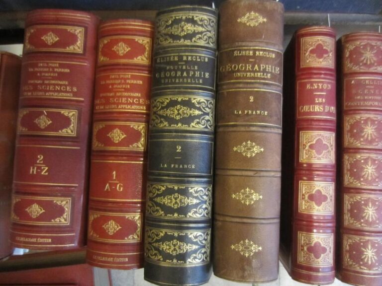 Ensemble de divers ouvrages dont "Les coeurs d'or" par Nyon, "Le nouveau dictionnaire des sciences" par Paul Poiré