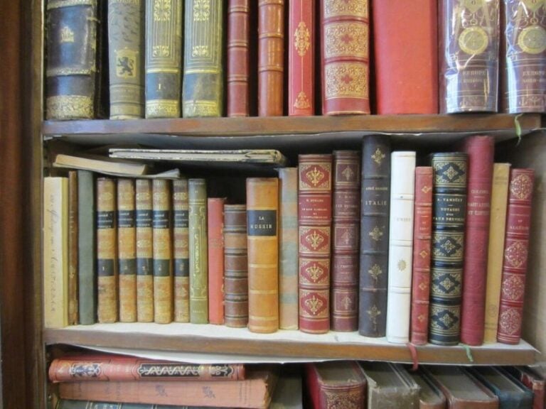 Ensemble de divers ouvrages, environ 20 volumes dont "Abrégé des voyages d'Afrique"