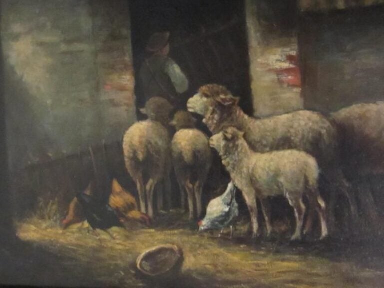 Ferme animée de poules et moutons