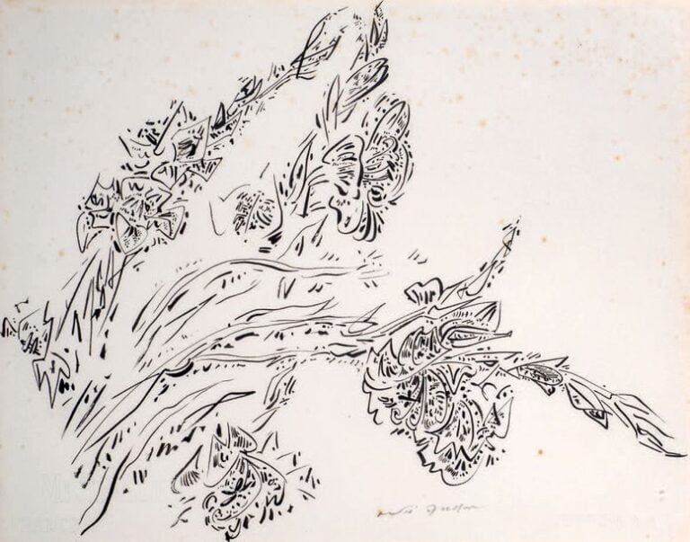 Fleurs, 1951