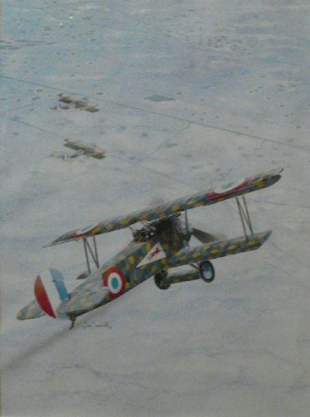 FOKKER DVII FRANÇAIS EN VOL D'ESSA