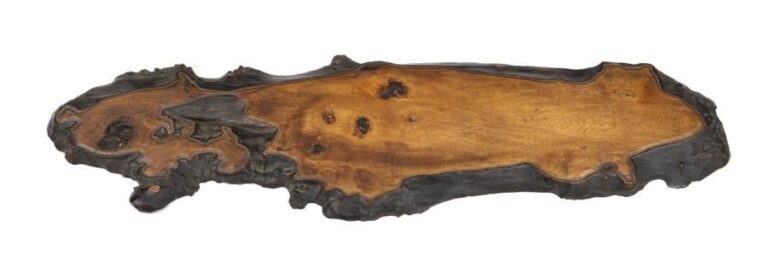 Grande pièce en bois de zelkova (keyaki) polie de forme irrégulière et utilisée comme socle (shikiita