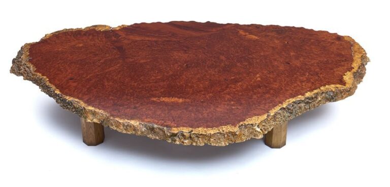 Grande table basse en bois (zataku), le dessus constitué d'une rondelle de tronc d'arbre de forme irrégulière avec écorc