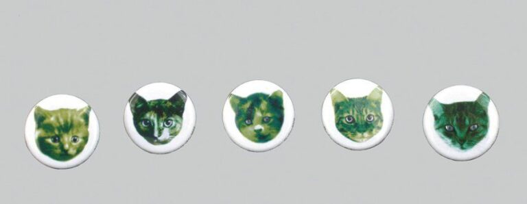 Green Cat Club, 200