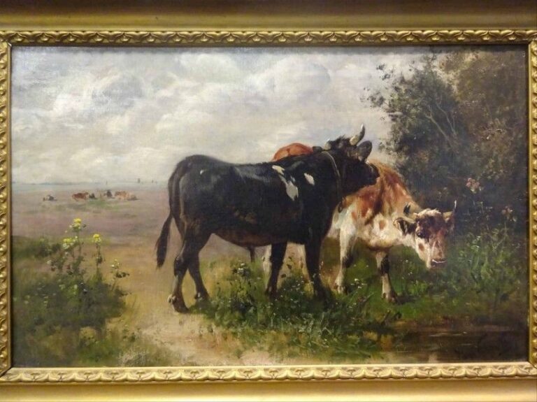 Henry SCHOUTEN (1857/64-1927)  Vaches dans un champ Huile sur toile Signée en bas à droite 41,5 x 66 cm (petit percement)