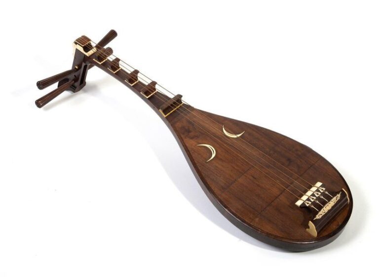 Instrument biwa en bois à cinq cordes et incrustation