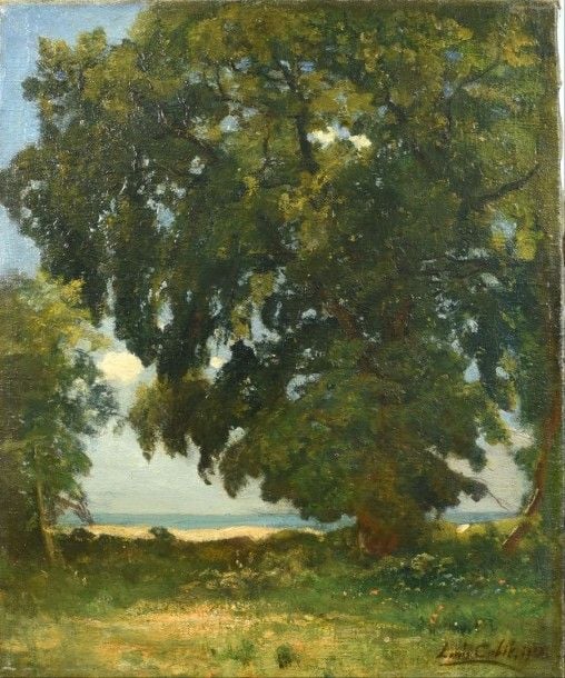 L'arbre au bord de la mer Huile sur toile Signée et datée en bas à droite: 1934 (?) 47 x 38 cm