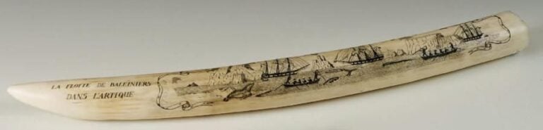 «La flotte des baleiniers dans l'Arctique» Petite défense d'éléphant gravée à décor de chasse à la baleine dans l'Arctiqu
