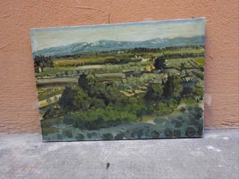 La plaine devant les Alpilles aux cimes enneigées