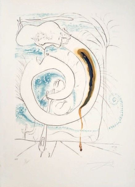 Le cercle viscéral du cosmos (Lopsinger 647)