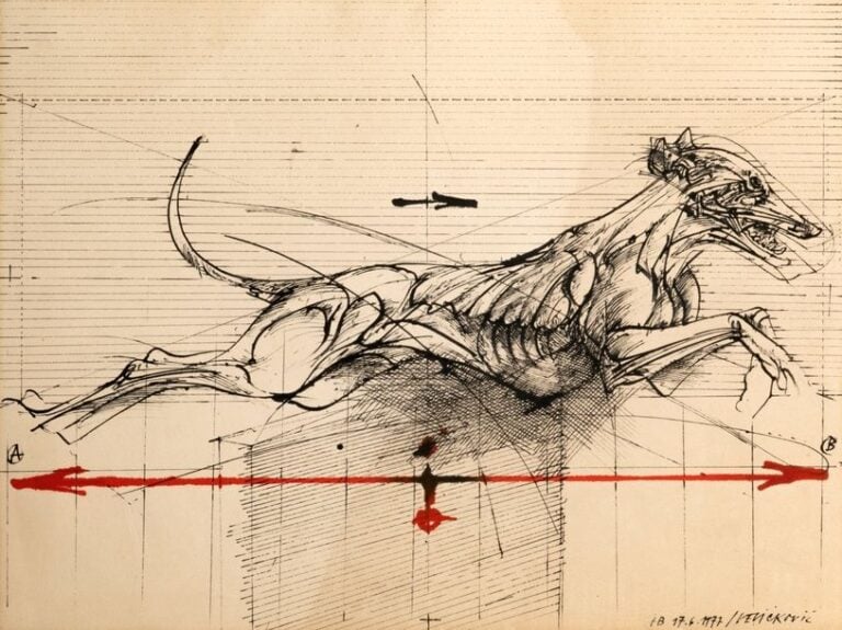 Le chien de course, 1977