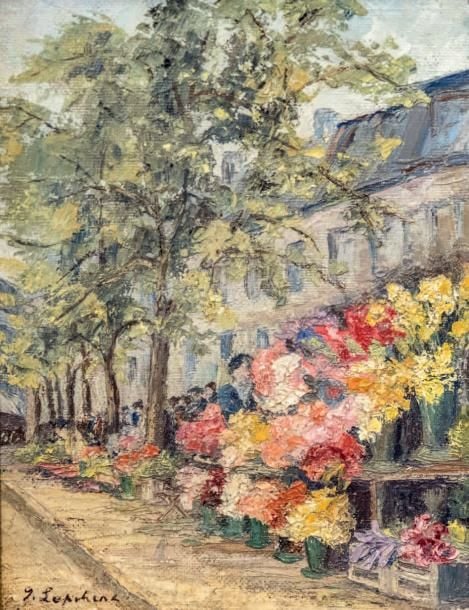Le marché aux fleurs sur les quais de Seine à Paris