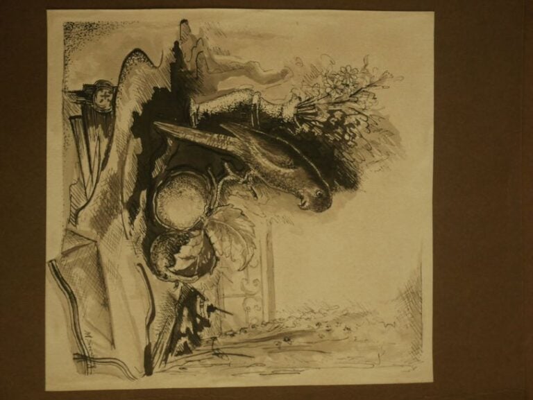 Le perroquet; La perruche