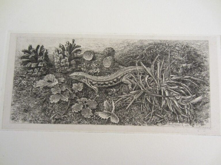 Lézard et glands et feuilles