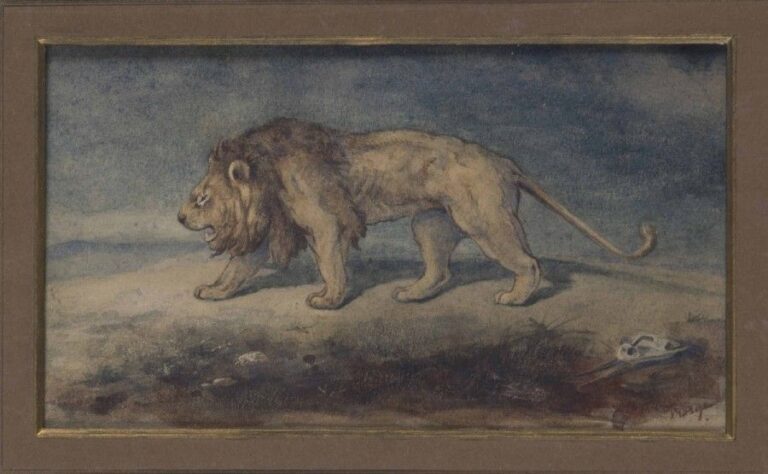 Lion passant Aquarelle sur papier Portant une signature apocryphe en bas à droite 11 3 cm x 19 cm