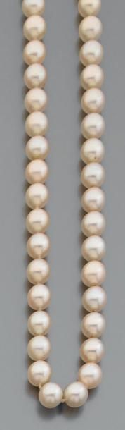 Long COLLIER composé d'un rang de perles de cultures blanche