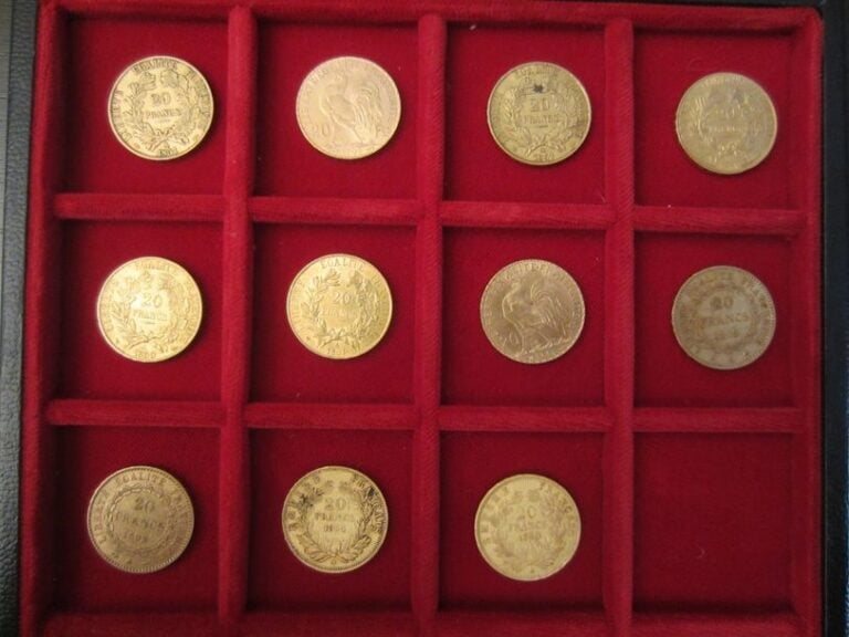 Lot de 11 pièces  de 20 Francs or
