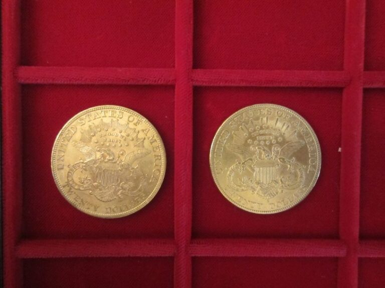 Lot de 2 pièces de 20 $ en or type Liberty 1894-1904