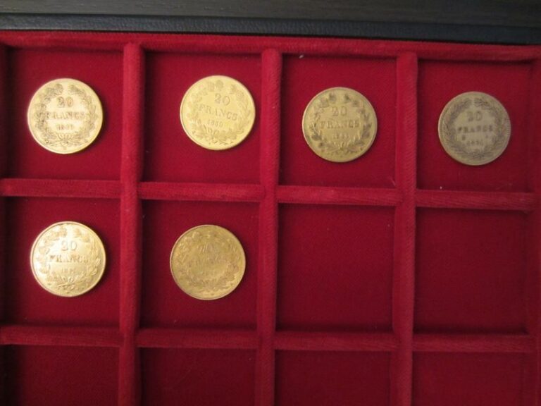 Lot de 6 pièces de 20 Francs en or :