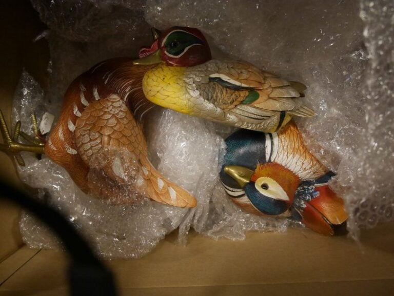 Lot de canards