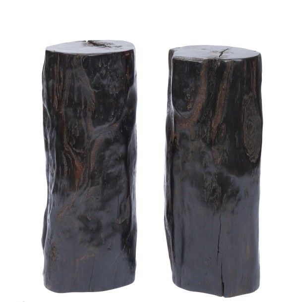 Lot de deux socles en bois d'ébène provenant des Philippine