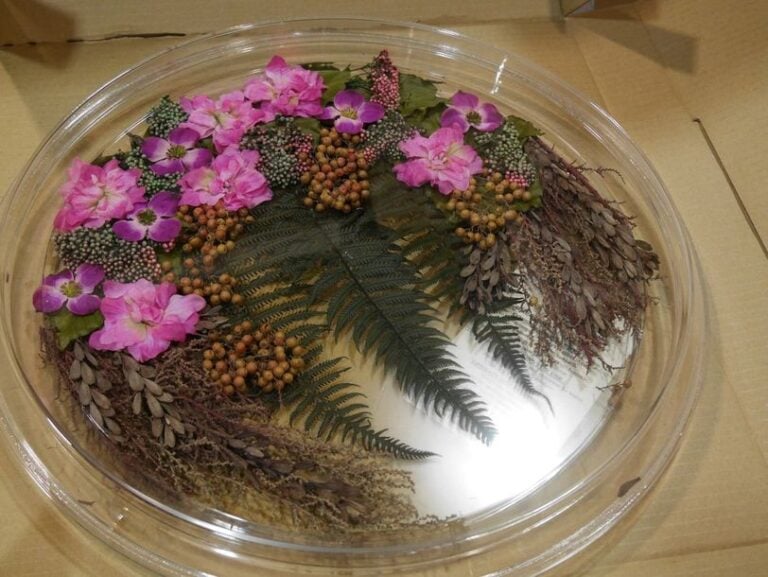 Lot de plateaux Alpac