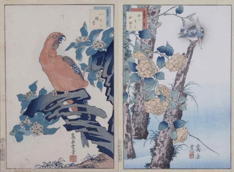 Nakayama SUGAKUDO (Actif 1850-1860)° "Martin-pêcheur et Roses Kerria" ("Kawasemi yamabuki") & "Macaw et Daphne douce" De la série des "48 oiseaux / faucons dessinés d'après nature" ("Ikiutsushi shijûhachi taka"), la 4e et la 10e planche Suite de deux oban tata-e / xylogravures encadrées et sous verre (non marouflées) Signées en bas au centre Cachet de censure aux bas des marges gauches: Tsutaya Kichizô (Kôeidô) 33,8 x 22,5 cm (couleurs affadies) Note: Un élève du fameux Hiroshig