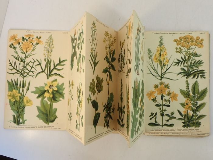 Otto Maier Verlag Ravensburg, sans date (circa 1890