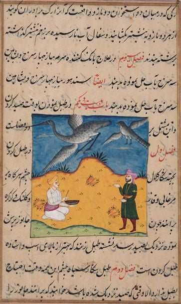 Page d'un Aja'ib al-Makhluqat