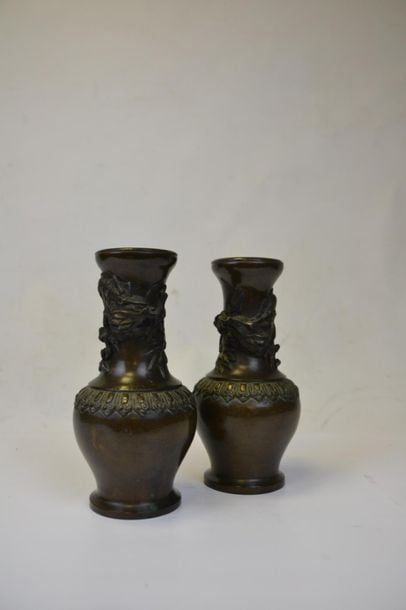 PAIRE DE PETITS VASES EN BRONZE PATINE ET DORE