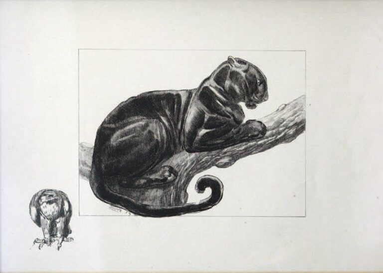 « Panthère branchée » (1939) Lithographie originale, épreuve en noir sur papier crèm