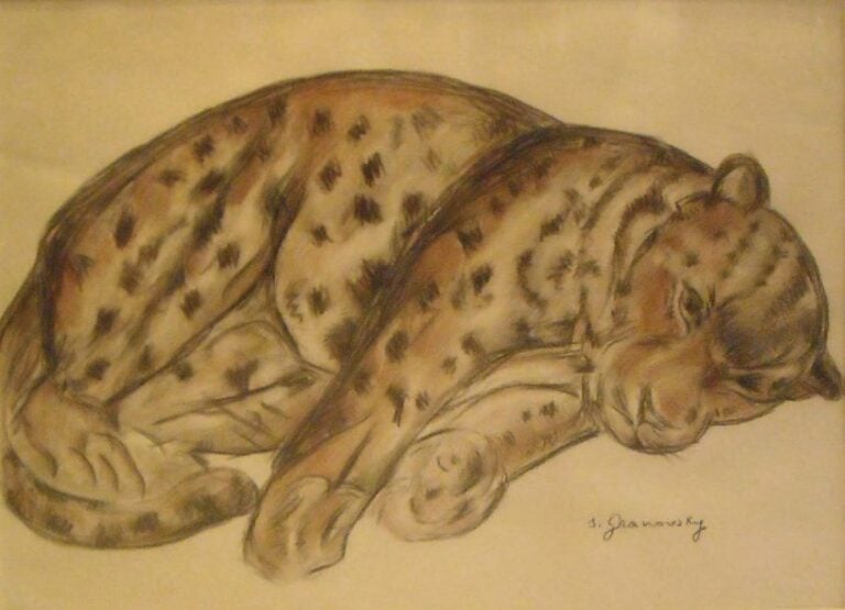 Panthère Crayons couleur Signée en bas à droite 48 x 64 cm