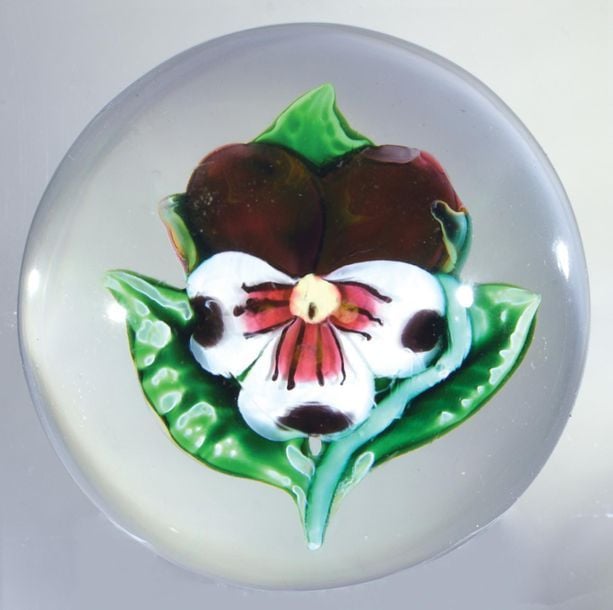 Panti