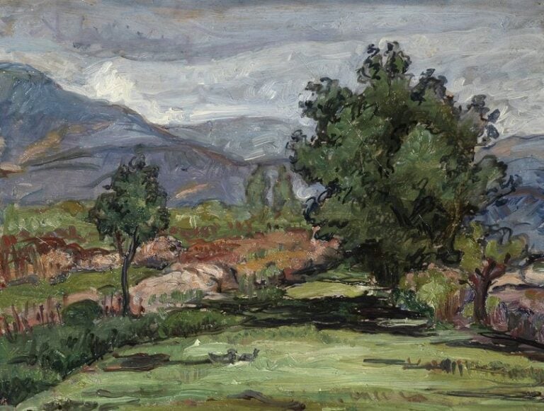 Paysage d'Argelès sur mer