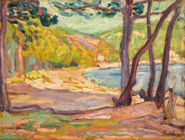 Paysage de Bretagne (Quiberon)