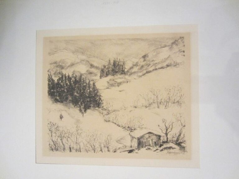 Paysage de montagne