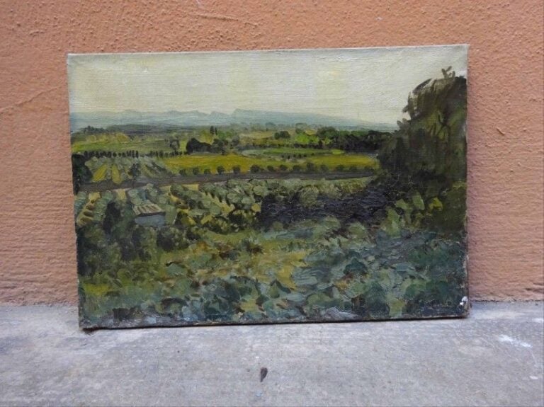 Paysage devant les Alpilles