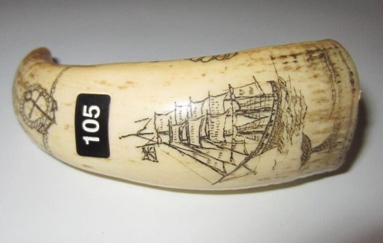 PETITE DENT DE CACHALOT gravée à décor de chasse à la baleine et de colomb