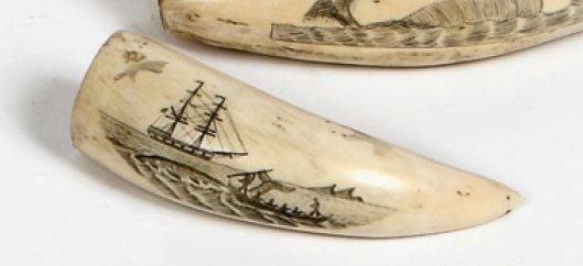 PETITE DENT DE CACHALOT gravée d'une scène de chasse à la baleine, et nommée au dos «The Brig Mercy