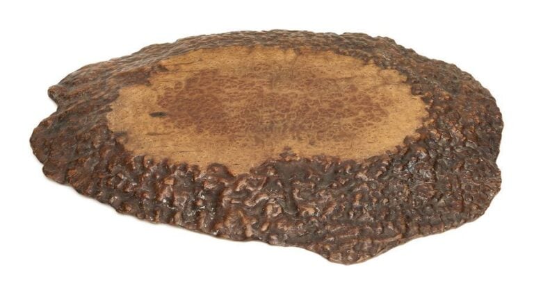 Pièce de bois ovale avec loupe sur le bois