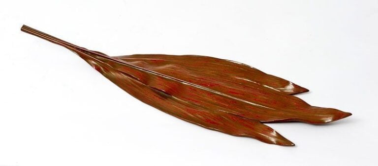 Plateau en laque sèche en forme de longue feuille rouge, par Karasuki Gochiku, dans sa boîte d'origin
