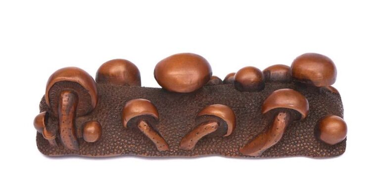 Porte-brosse en bois de buis sculpté : La pièce de bois en forme de demi-cercle arbore des champignon