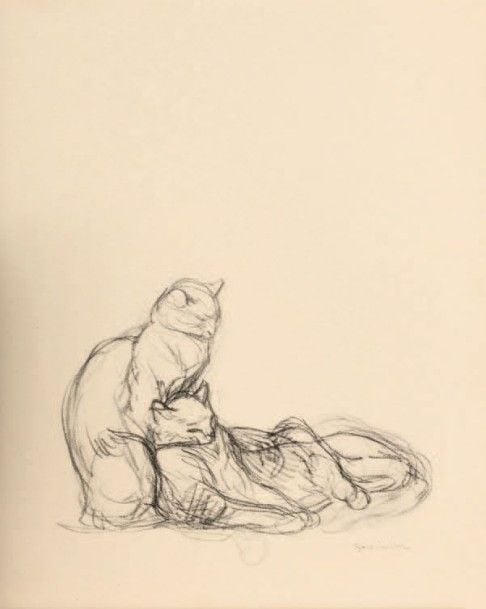 Portfolio comprenant un important ensemble de reproductions lithographiques sur le thème du chat 24,5 x 32 cm