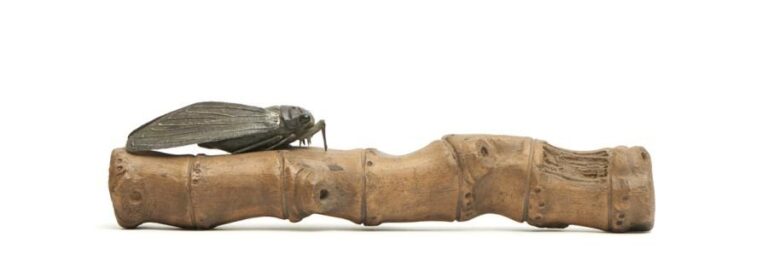 Presse-papier (bunchin) figurant une grande cigale en métal assise sur une branche en céramique de couleur brun